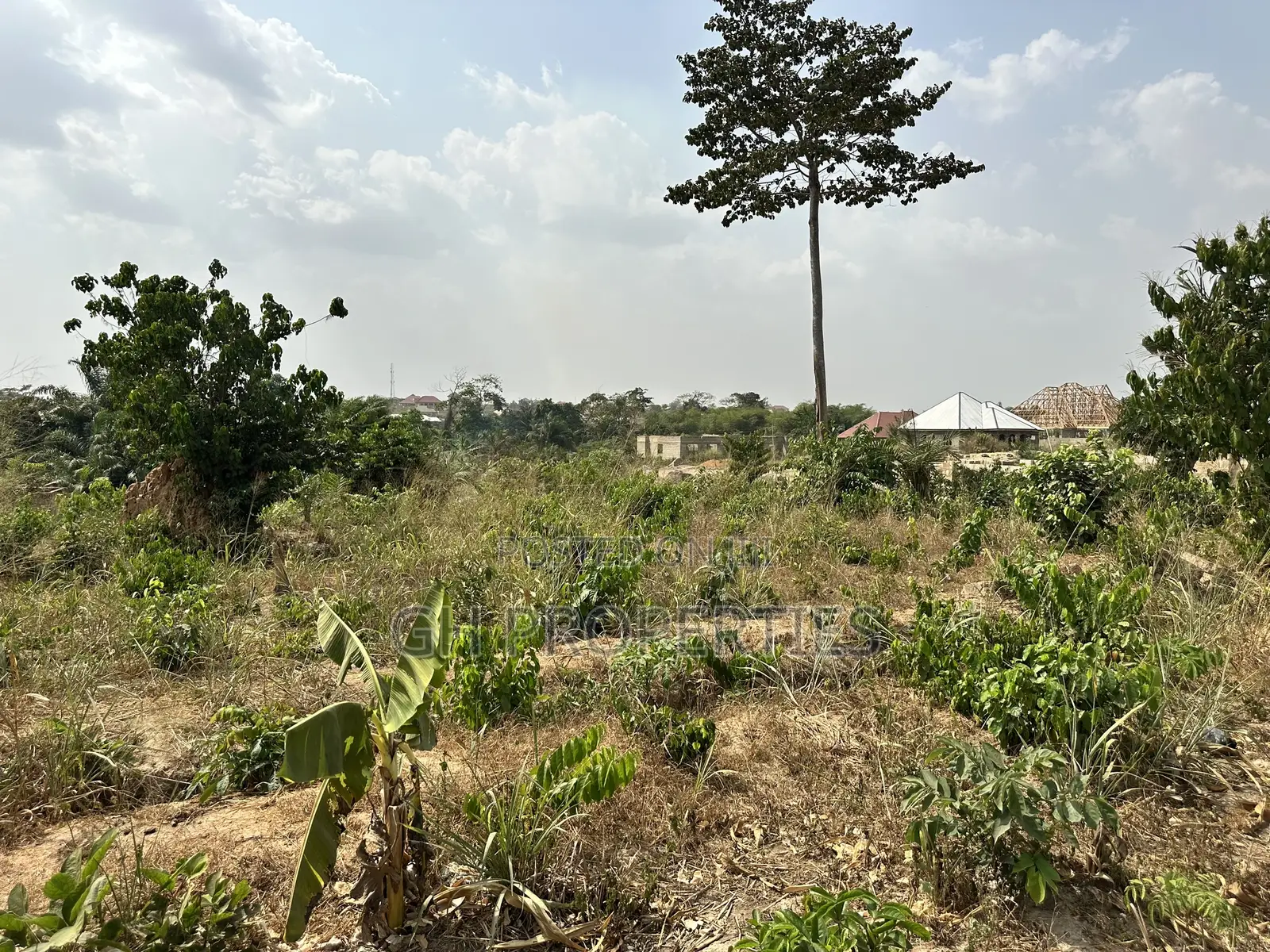 One Plot for Sale at Trede,Kankyre.