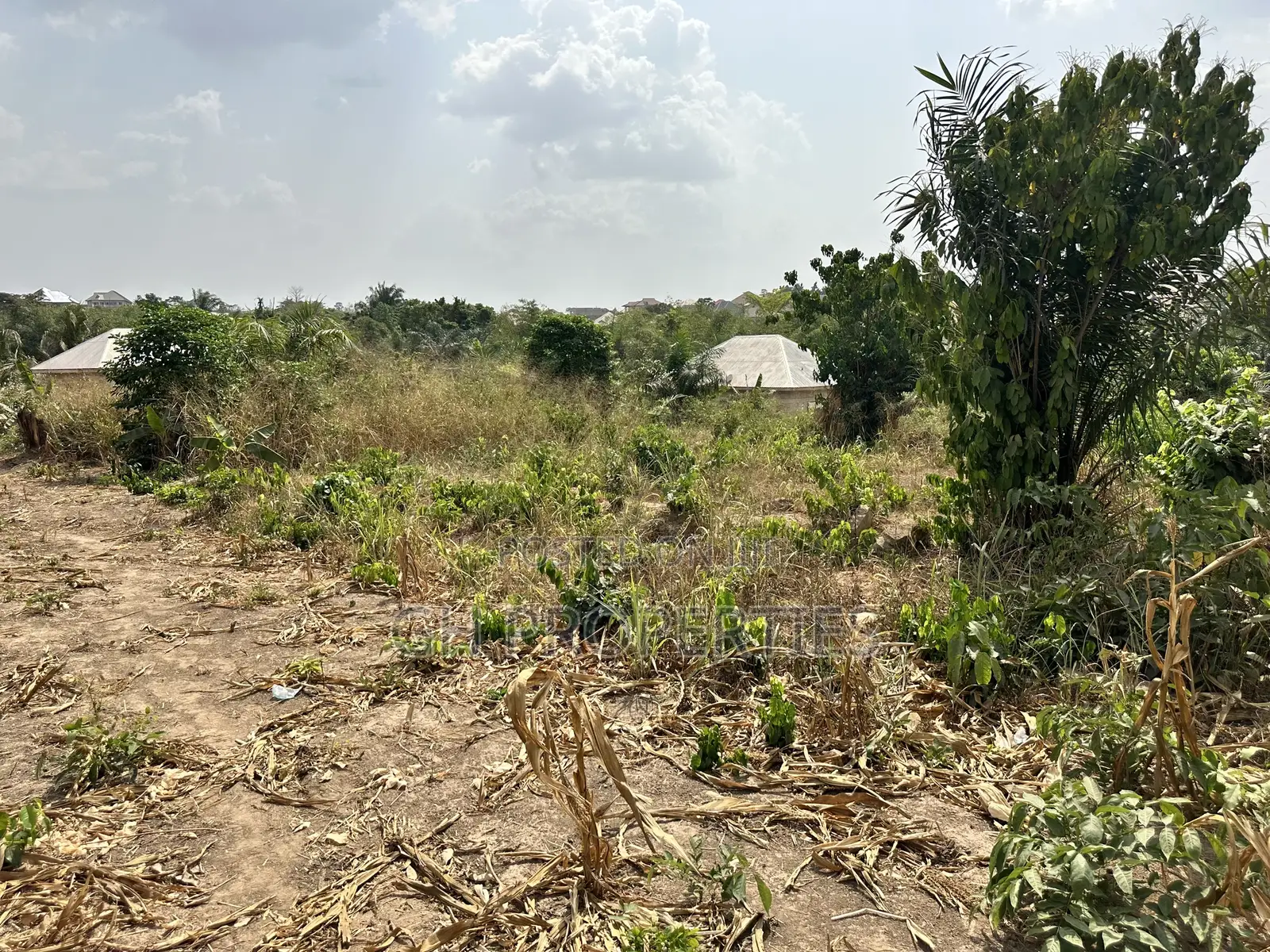 One Plot for Sale at Trede,Kankyre.