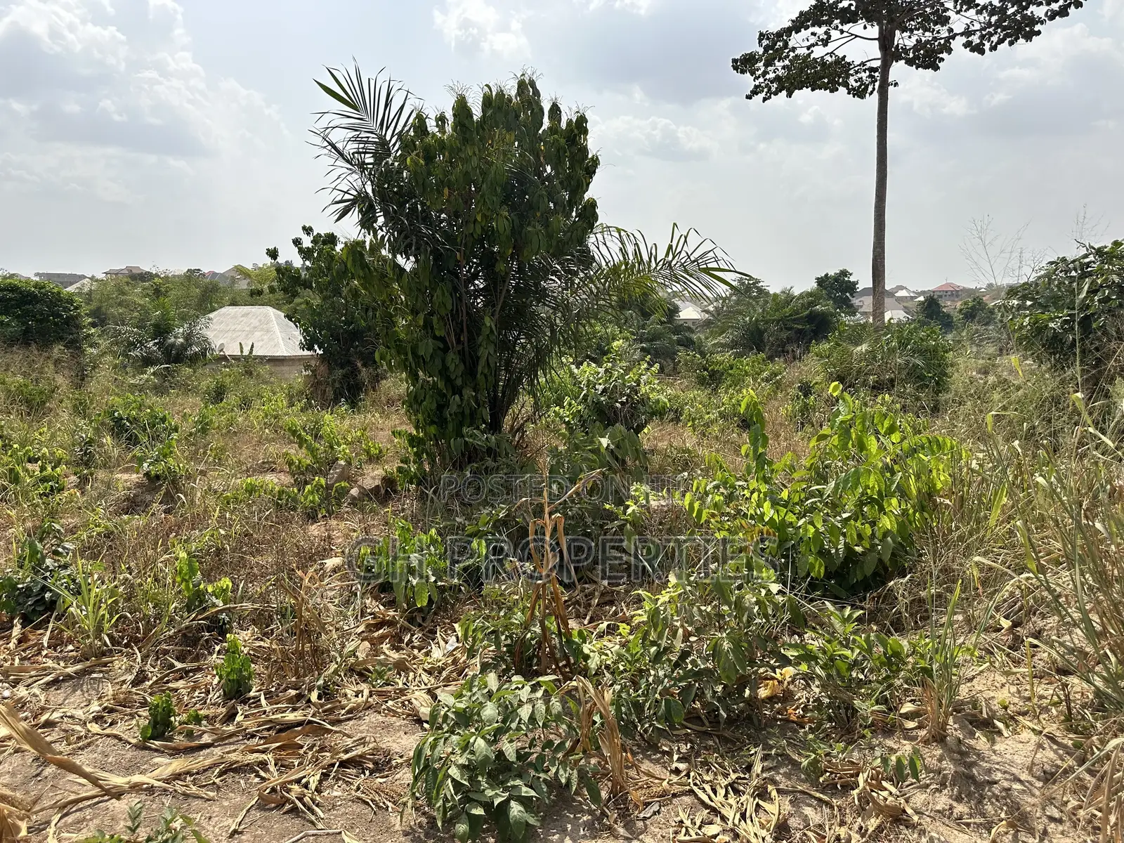 One Plot for Sale at Trede,Kankyre.