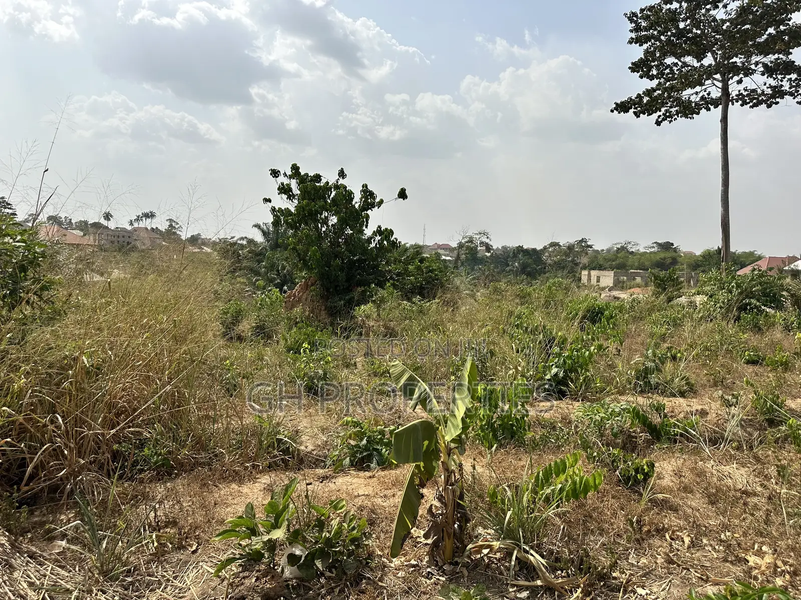One Plot for Sale at Trede,Kankyre.