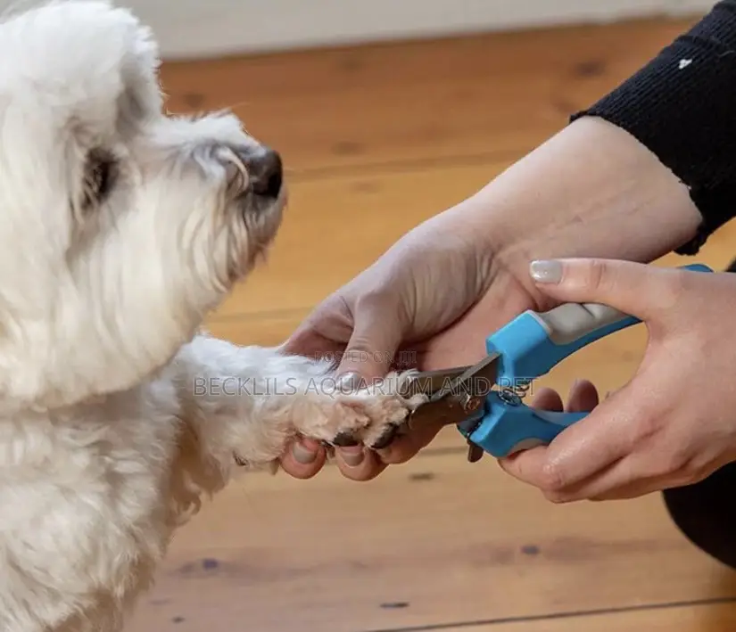 Dog Nail Clippers