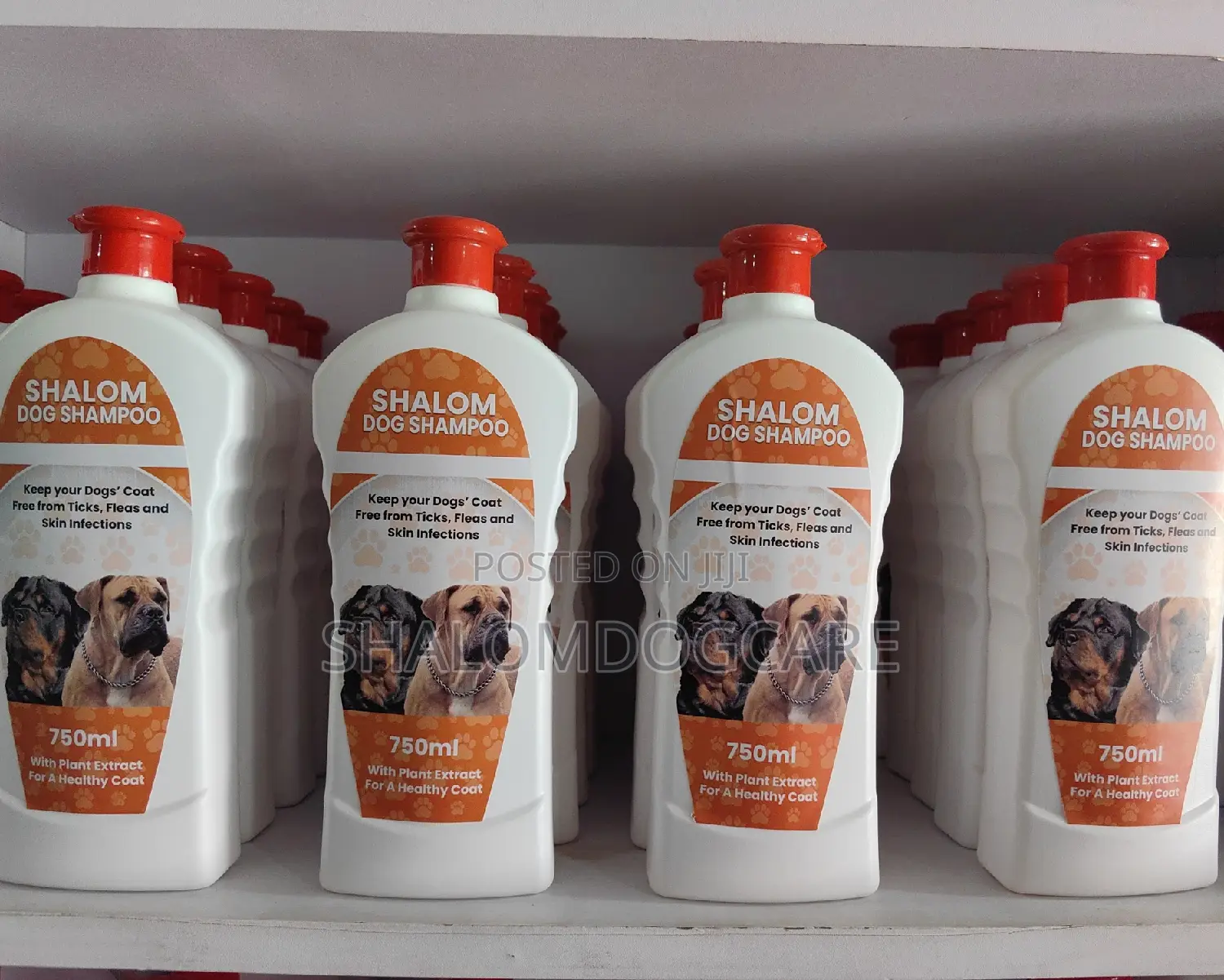 Shalom Dog Shampoo 750ml