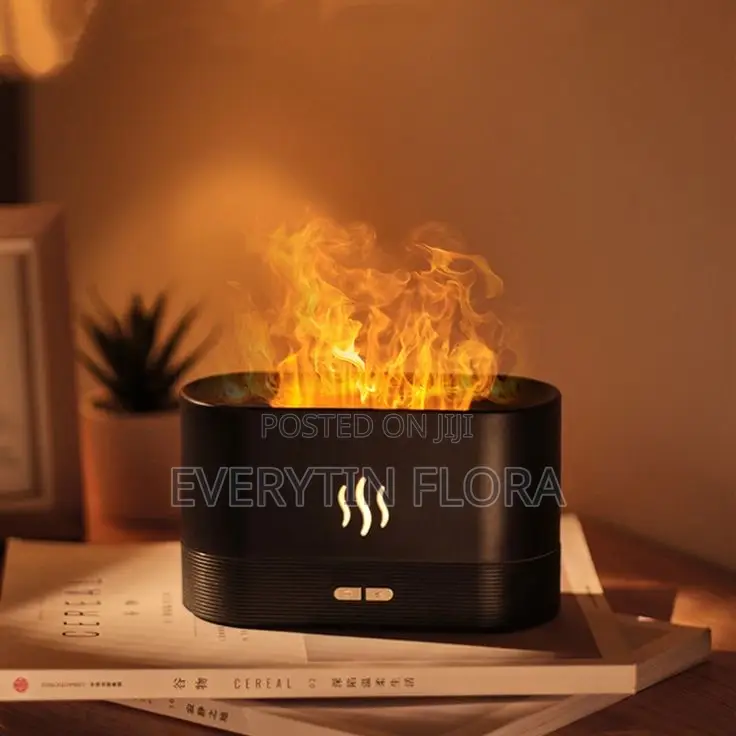 Humidifier or Essential Oil Diffuser