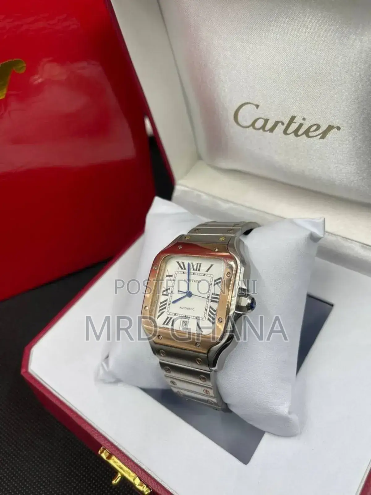 Gold and Brown Silver Cartier Santos