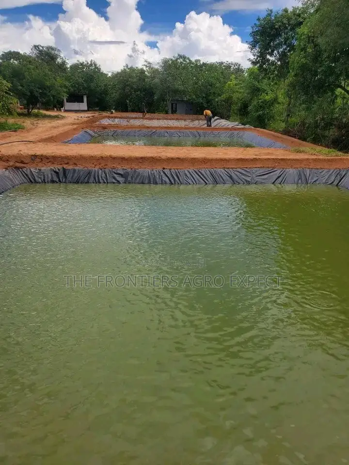 Earthen Pond for Catfish / Tilapia