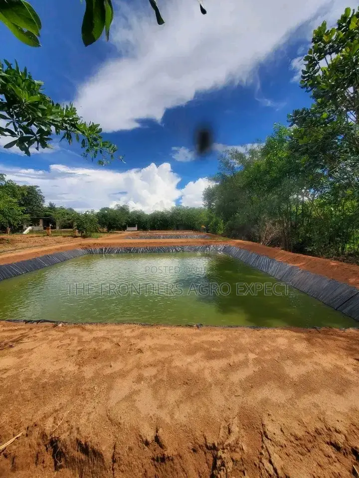 Earthen Pond for Catfish / Tilapia