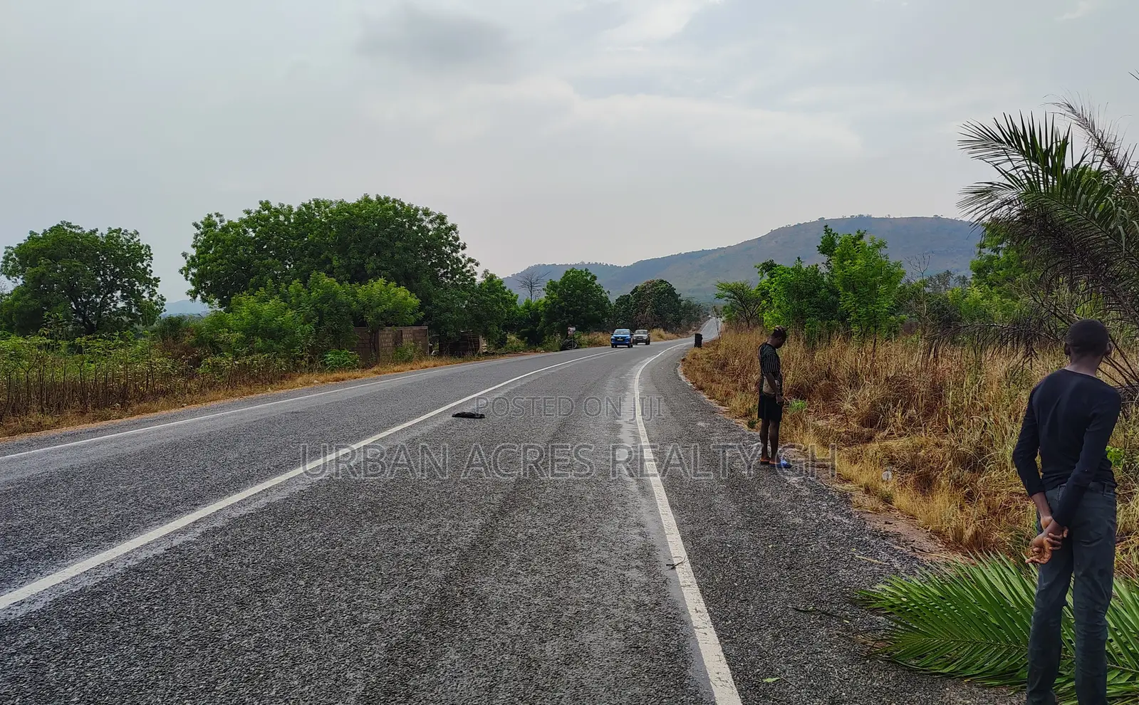 Volta Region, (Asikuma - Ho Road) _ 2 Half Plots Roadside Land