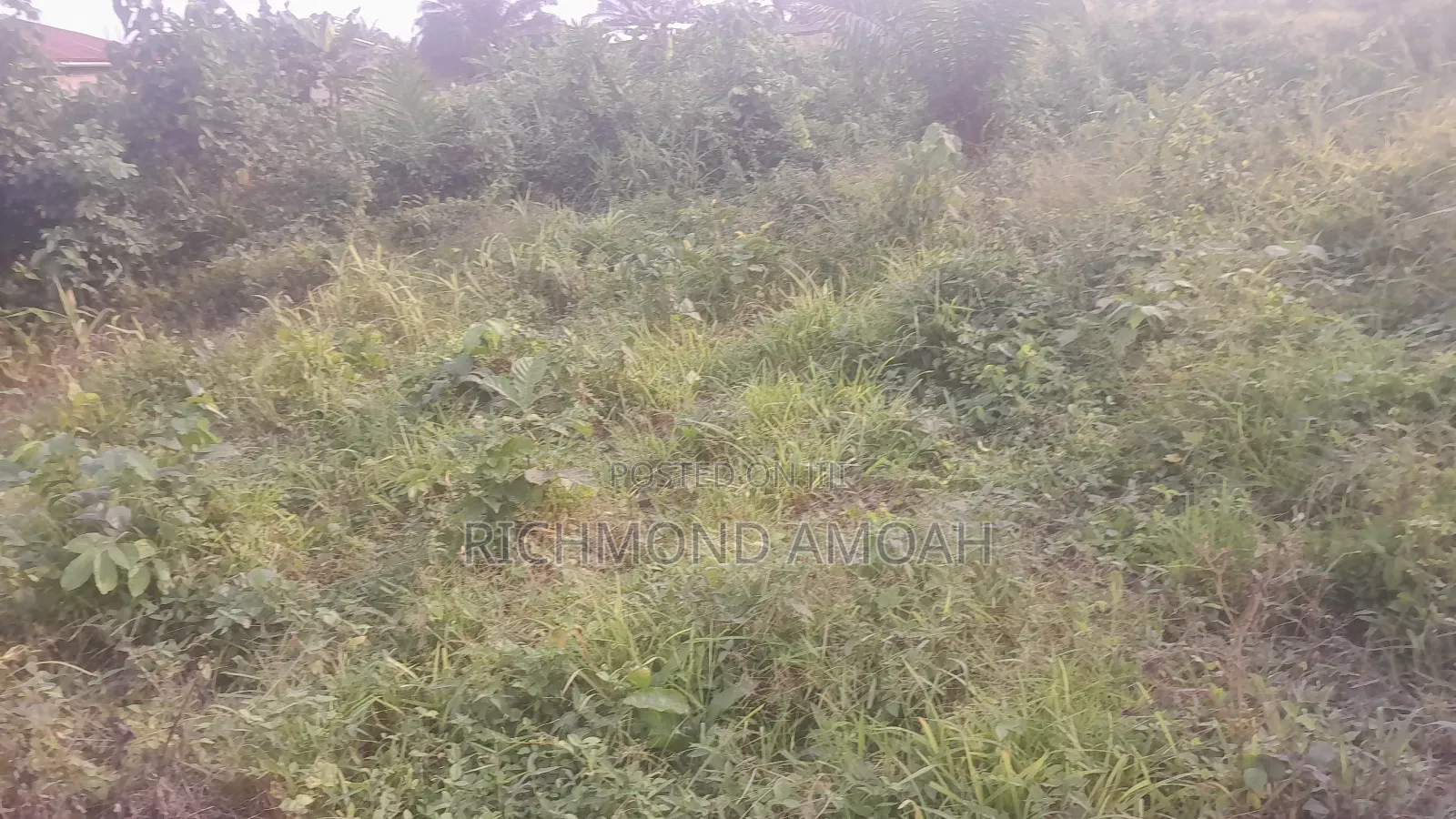 Plot for Sale at Windo