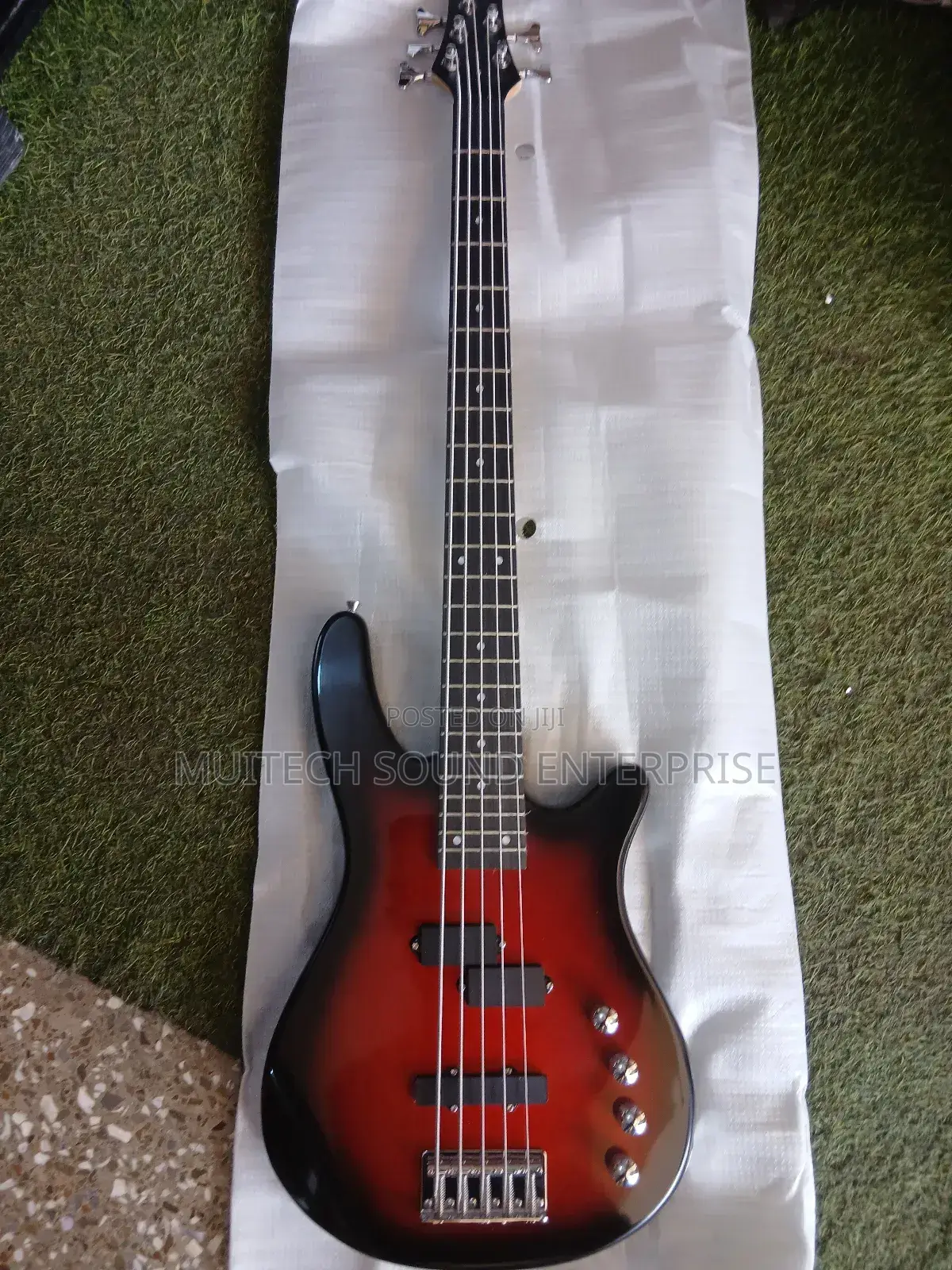 Ibanez Bass Guitar
