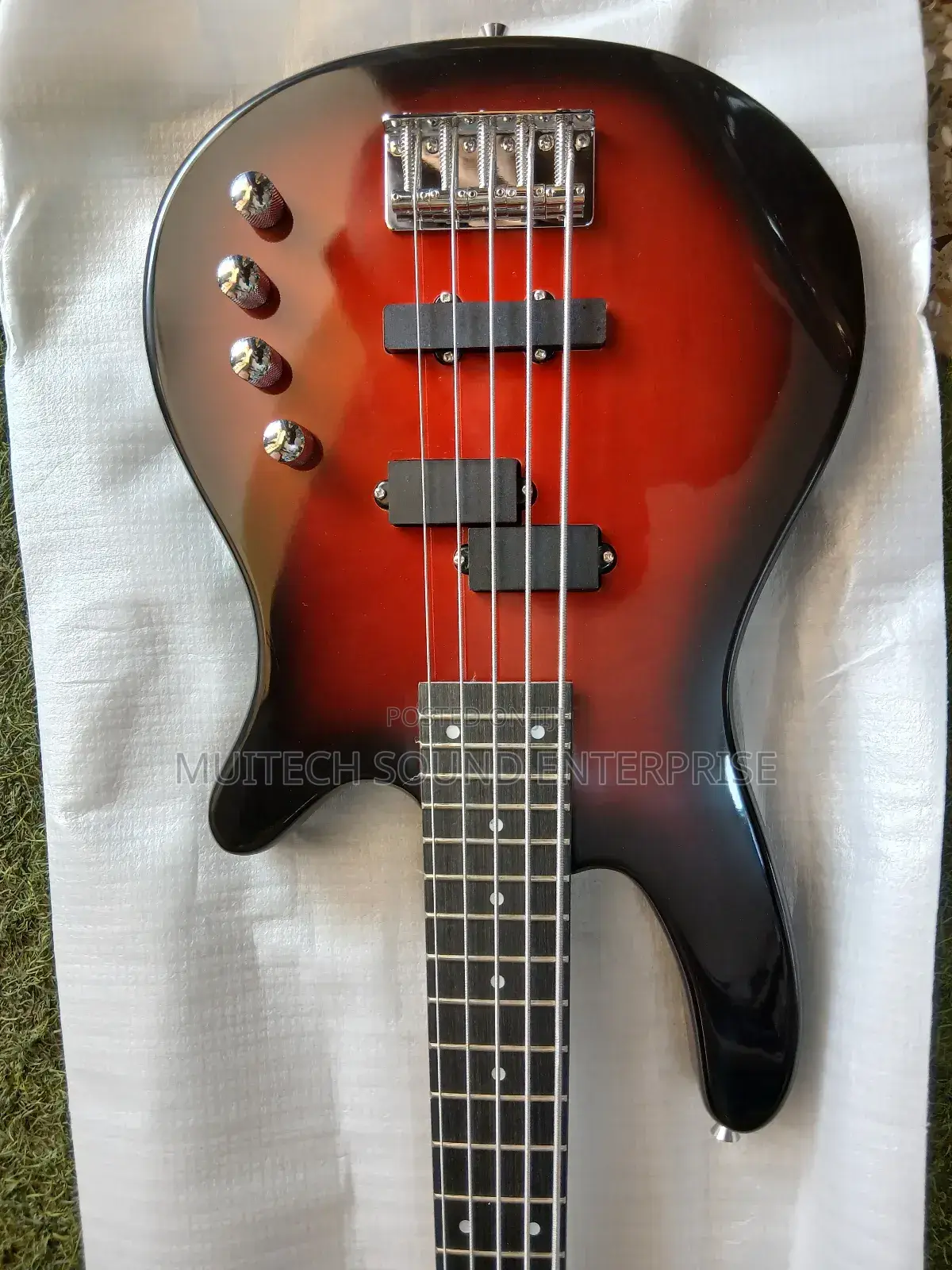 Ibanez Bass Guitar