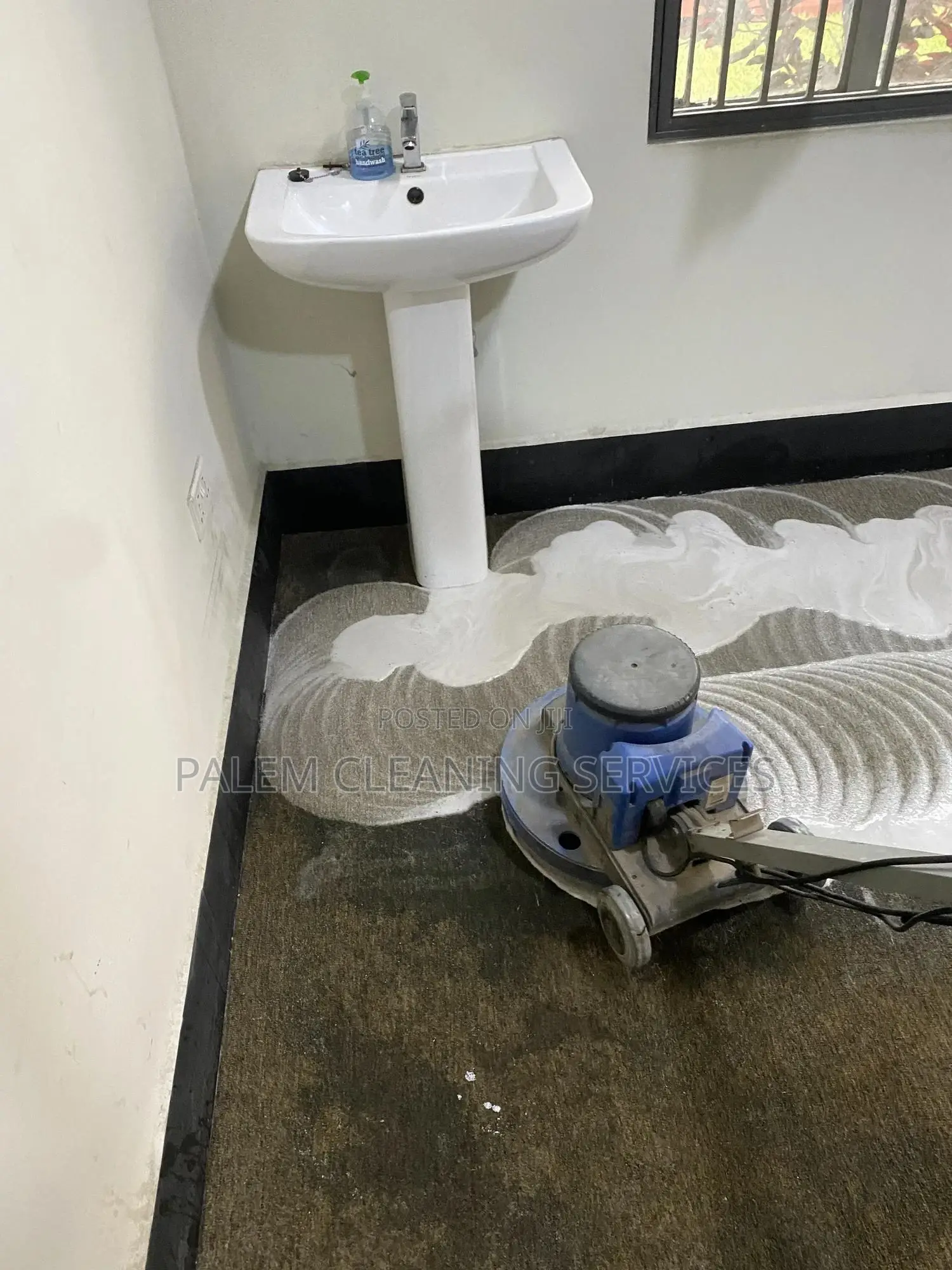 Installed Carpet Cleaning