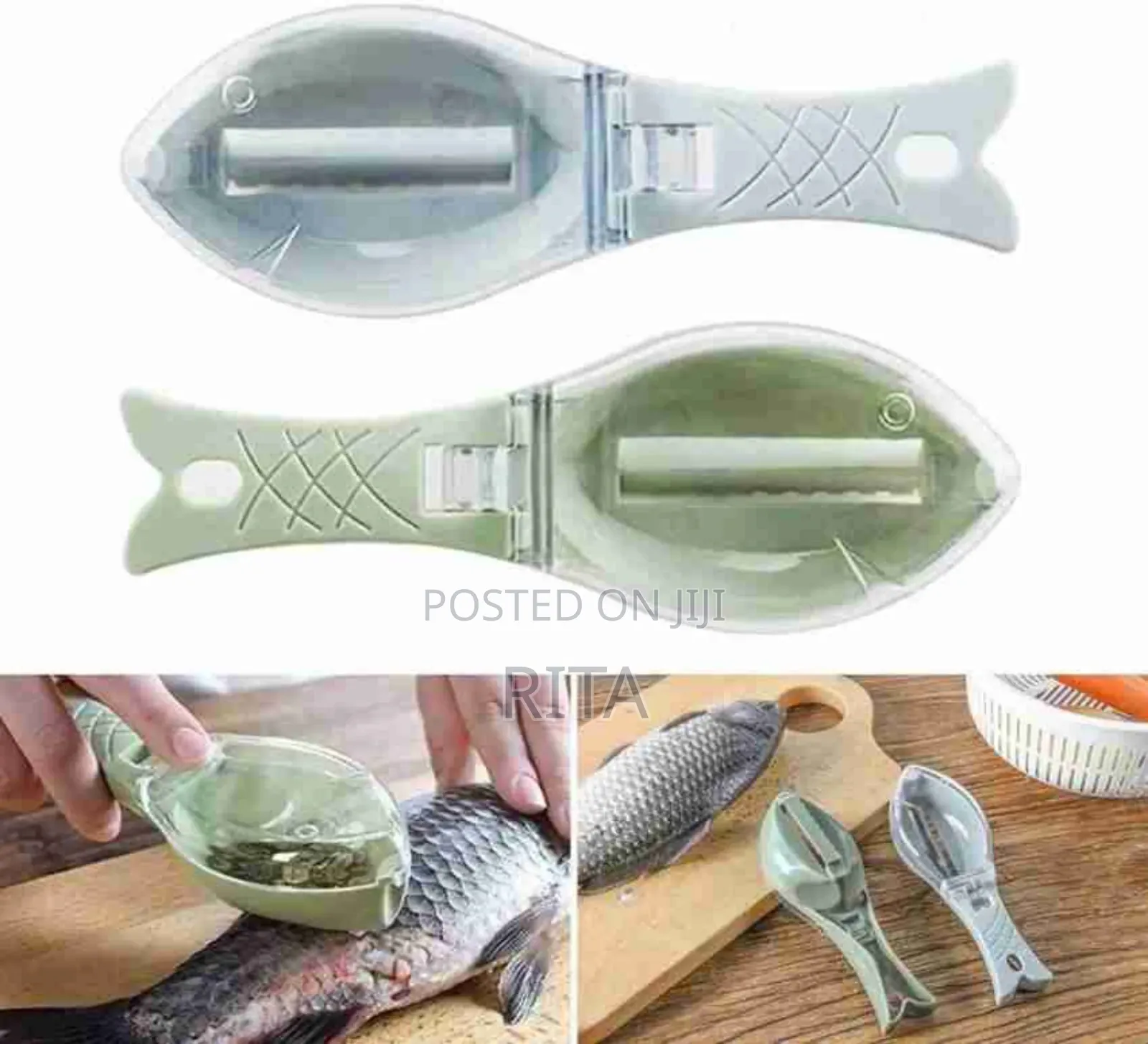 Fish Scale Scraper and Remover