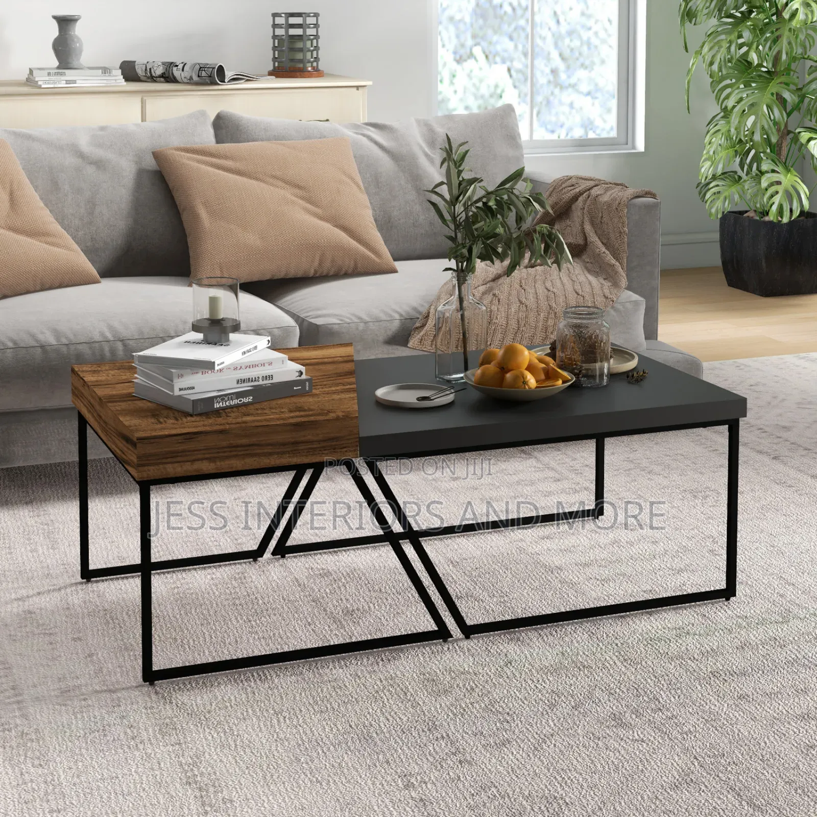 Coffee Table (Set of 2)