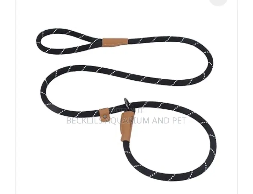 Flip Colors With Leash