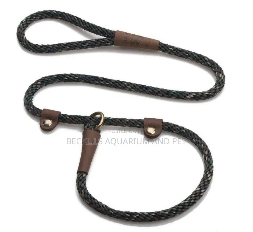 Flip Colors With Leash