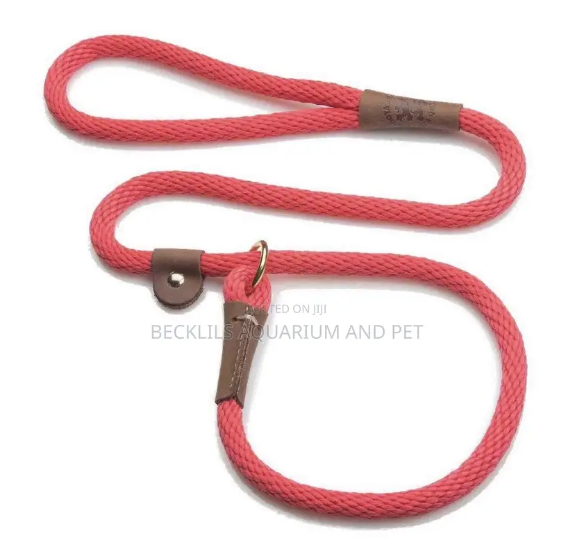 Flip Colors With Leash