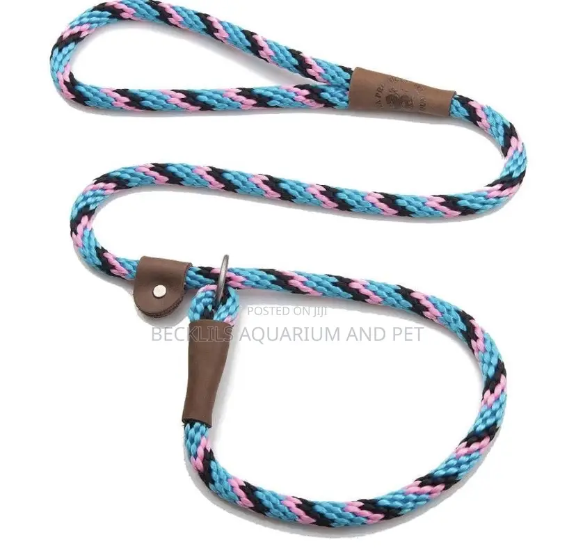 Flip Colors With Leash