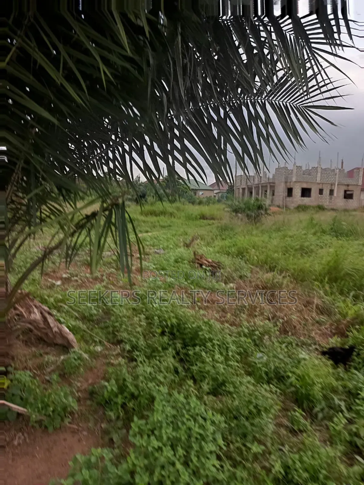 One Plot of Land D for Sale at Focus Hospital