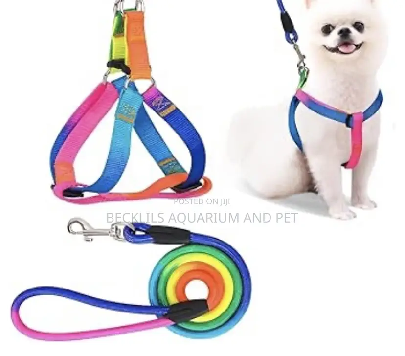Multiple Colored Dog Harness With Leash