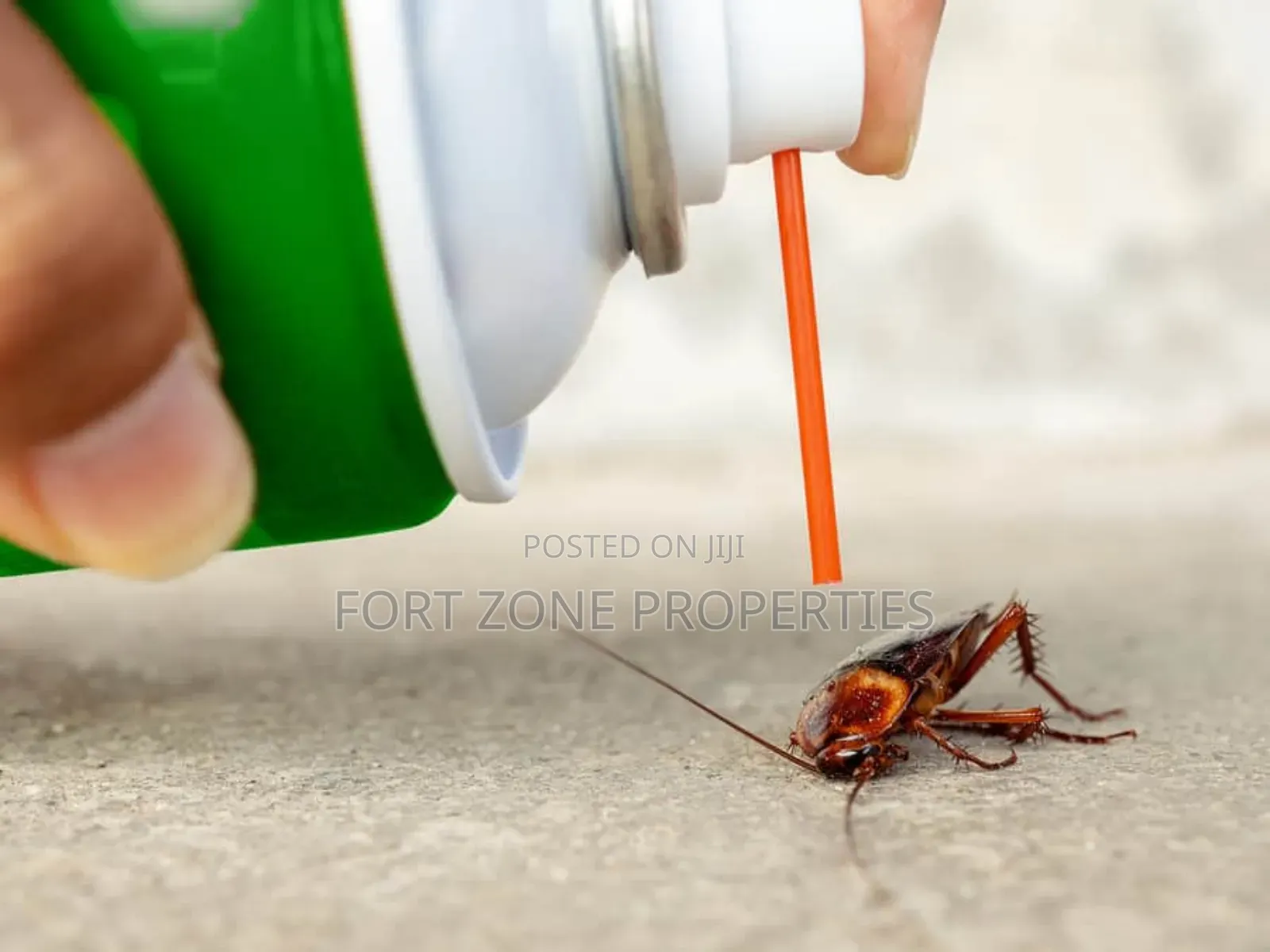True Results Pest Control
