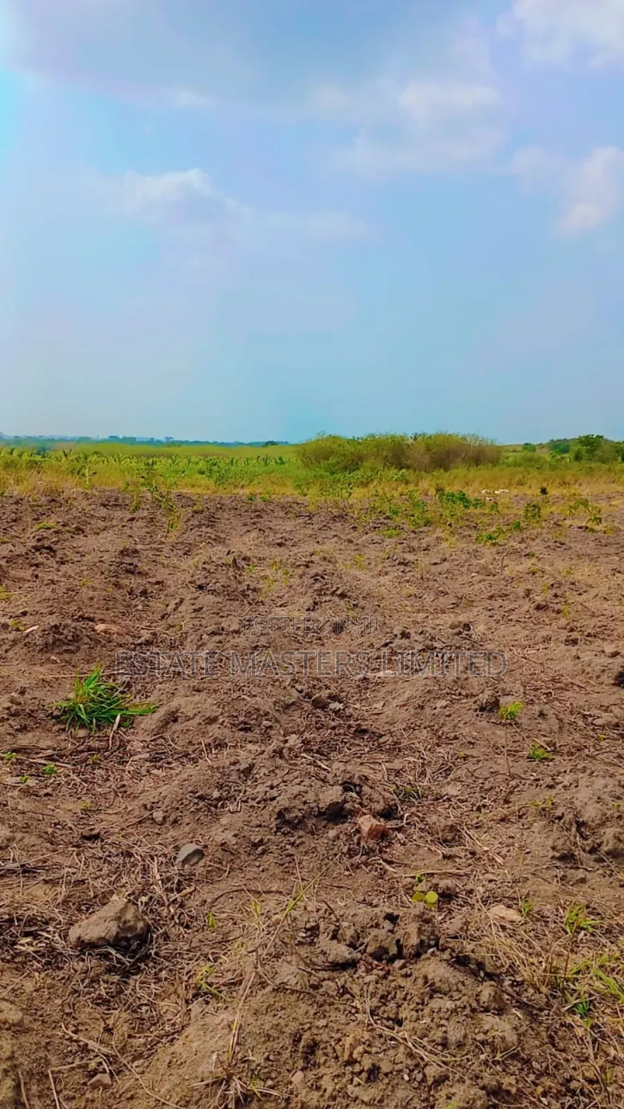 Greeny Lands. Best Fit for Your Dream Home.