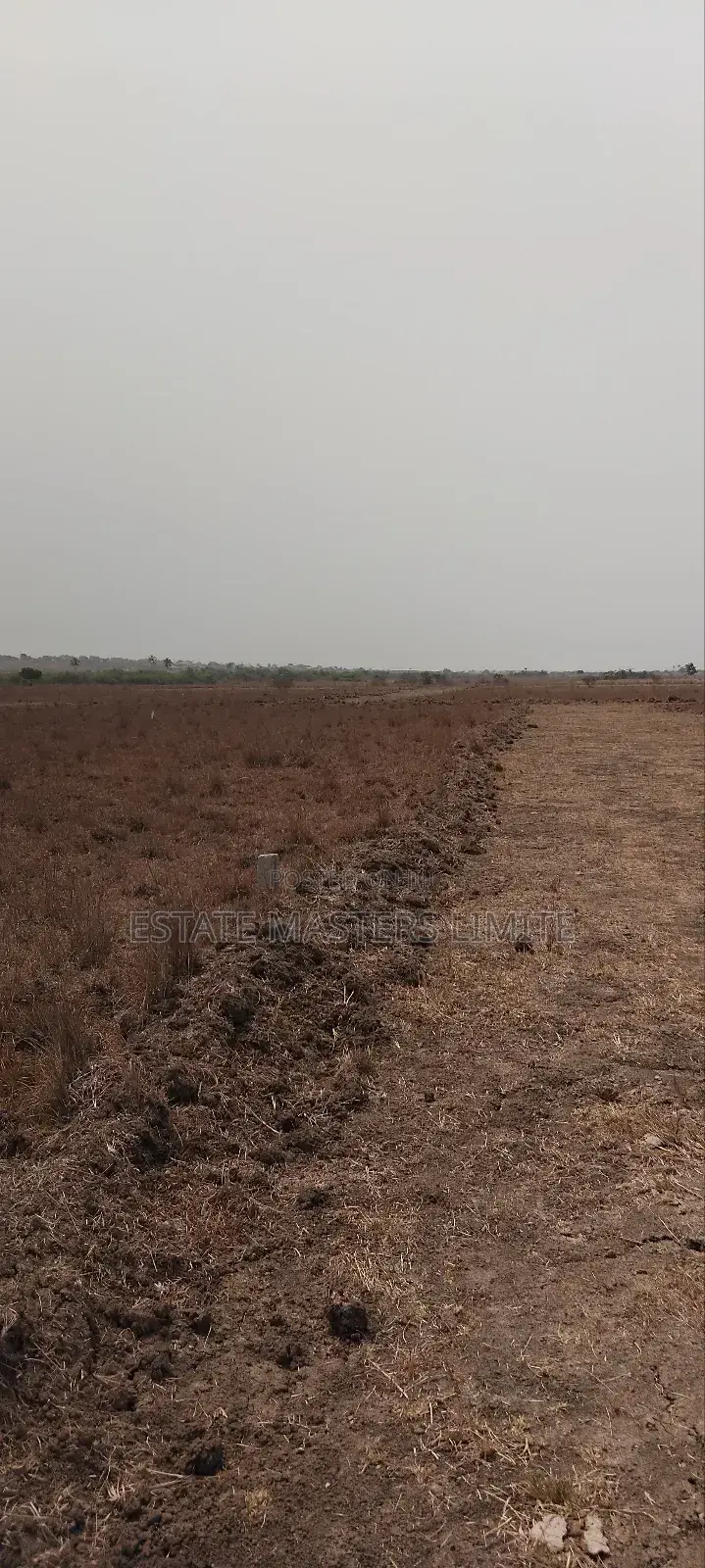 Trust Estate Masters for Your Land at Prampram