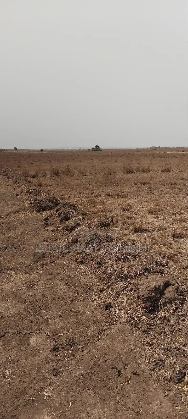 Don't Worry We Have Affordable Lands for Sale at Prampram