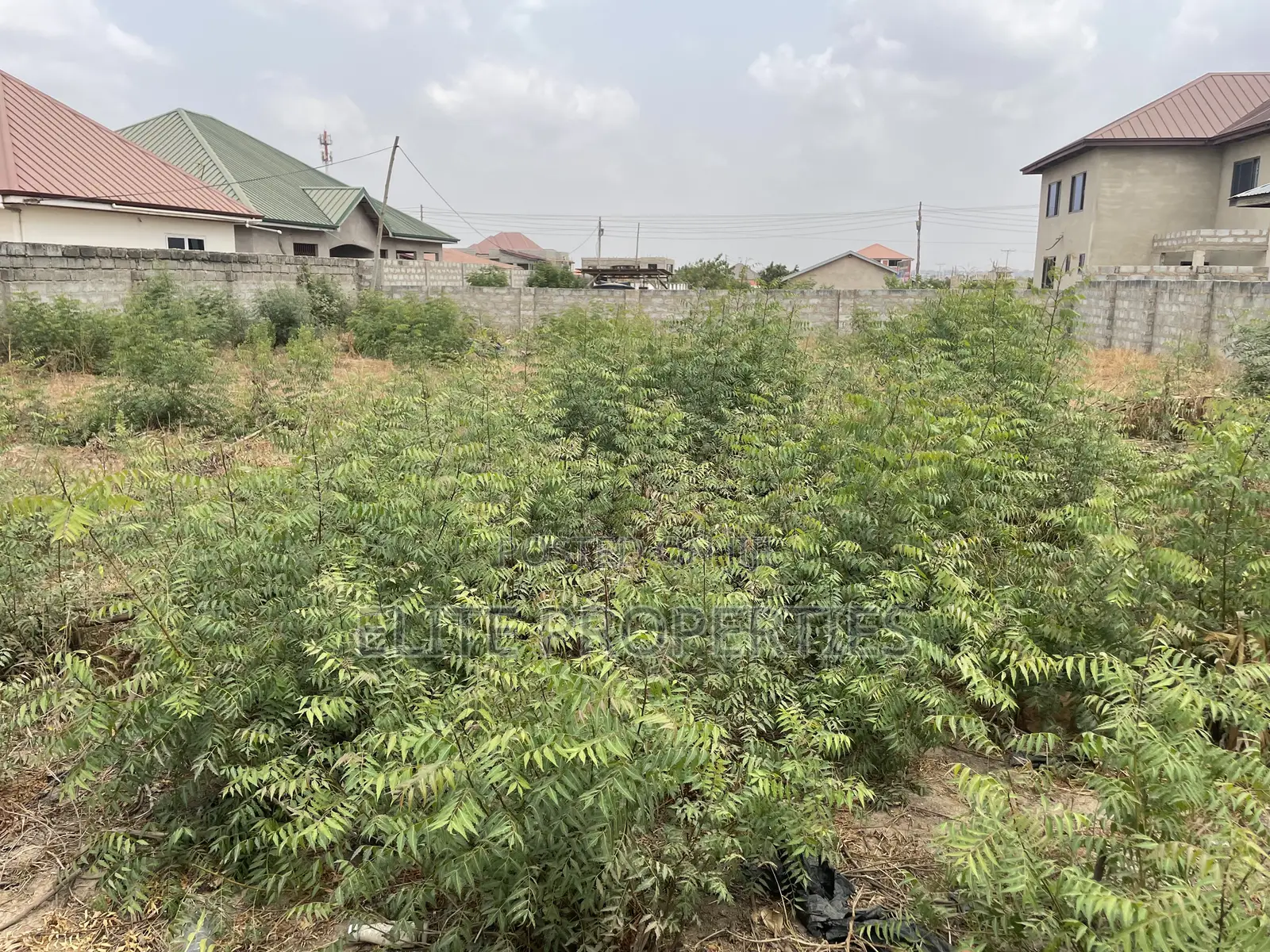 1 Plot of Registered Land for Sale in Comm.25