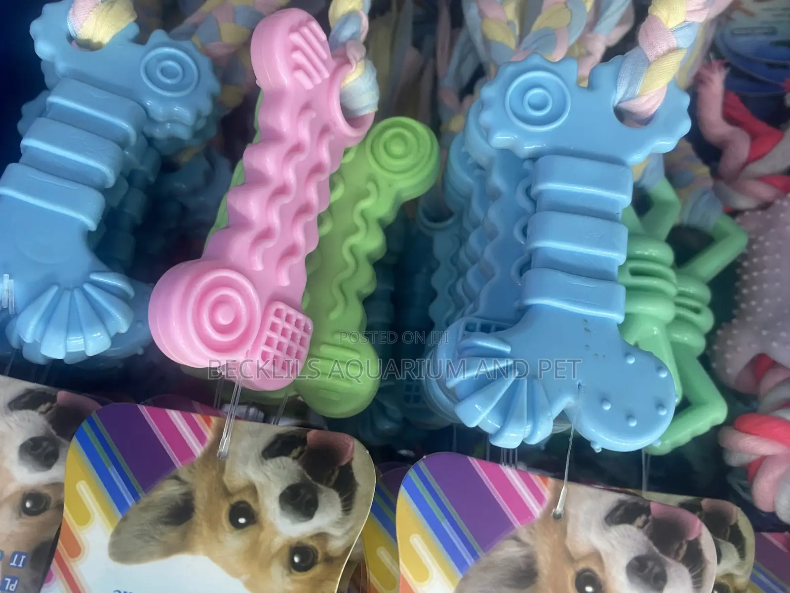 Play Dog Play With Robe