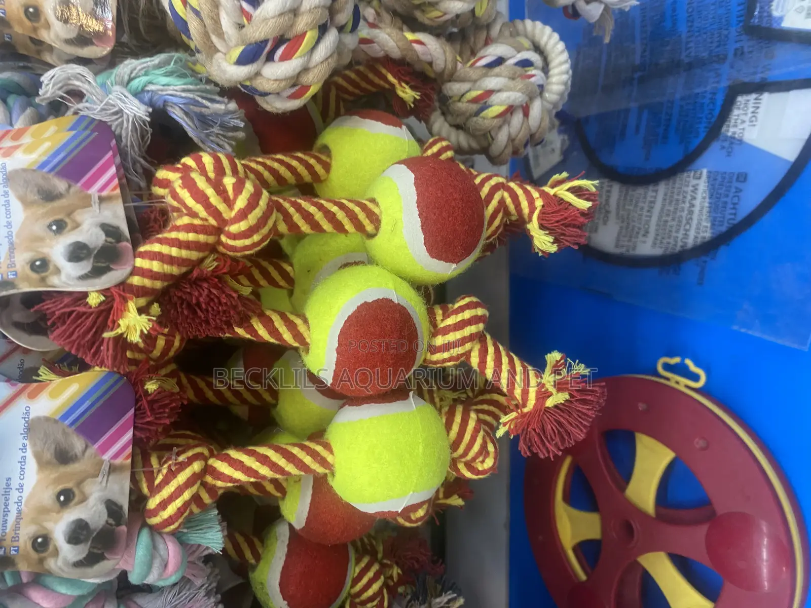 Dog Play Toys ( Ball )