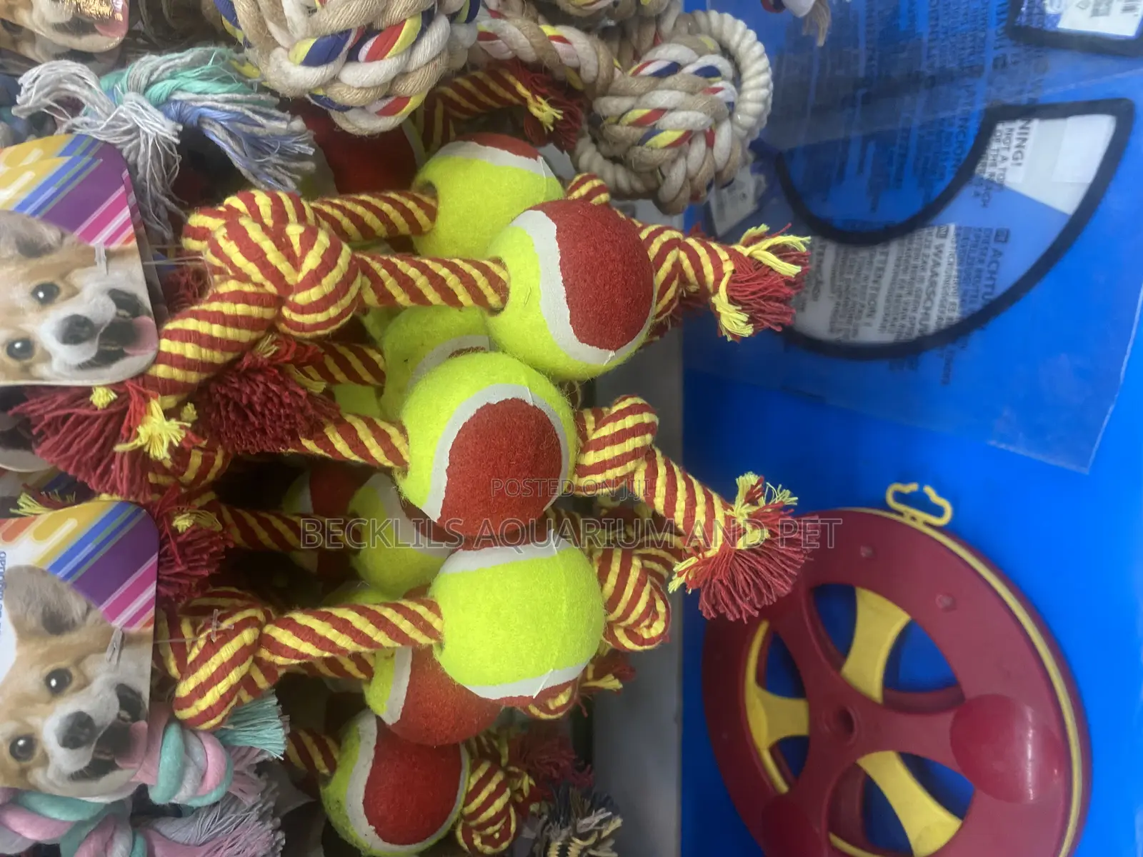 Dog Play Toys ( Ball )