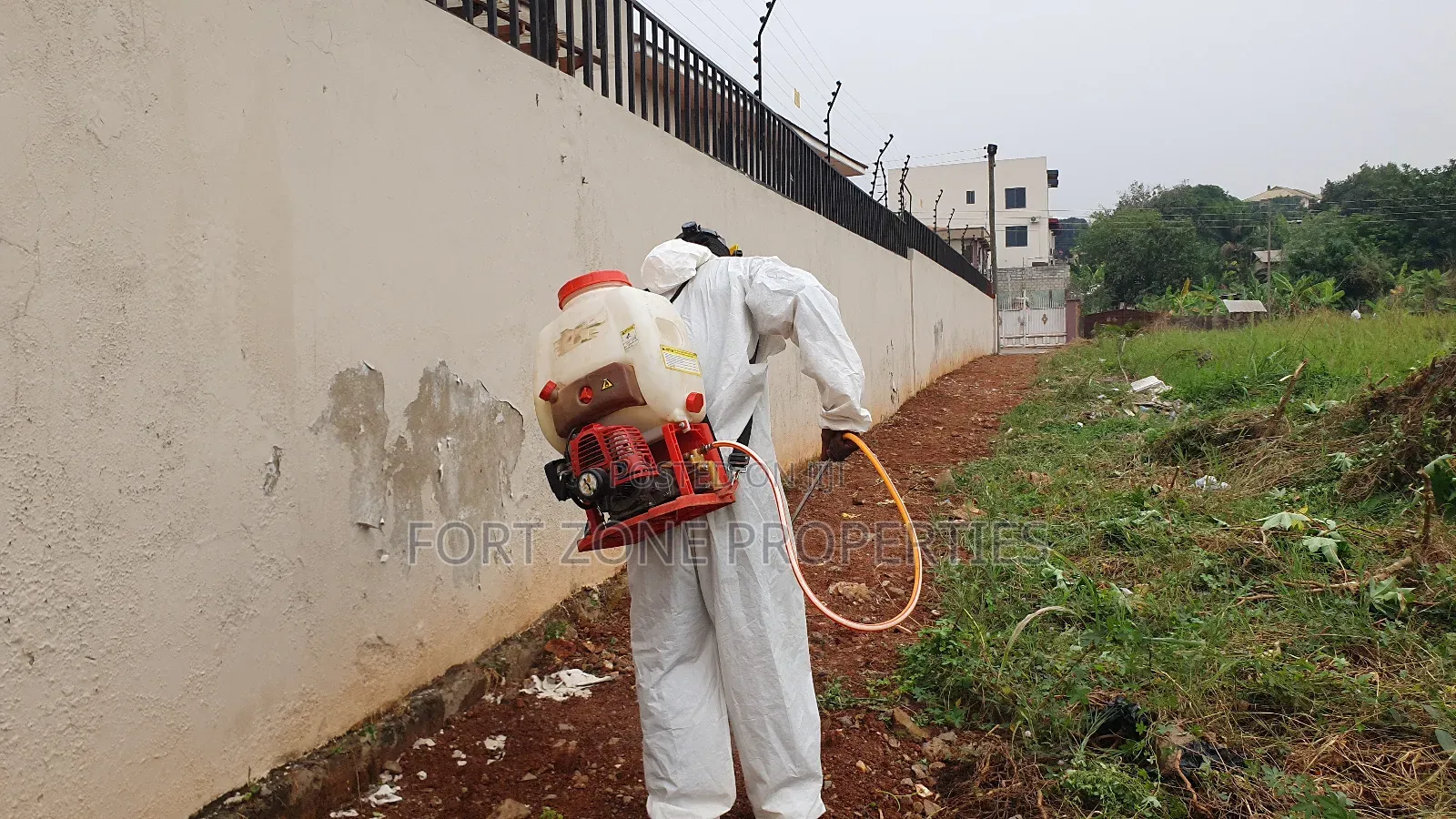 Insects and Reptils Control Services With Cleantex