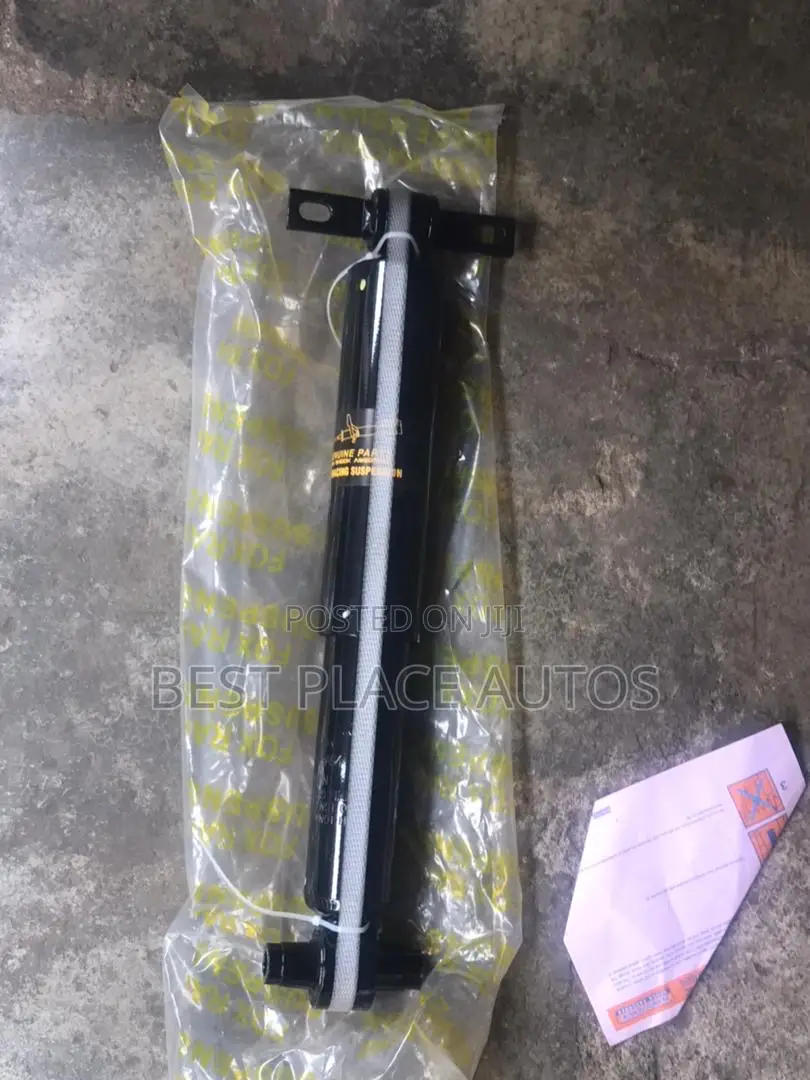 Honda Pilot 2012 Back Shocks