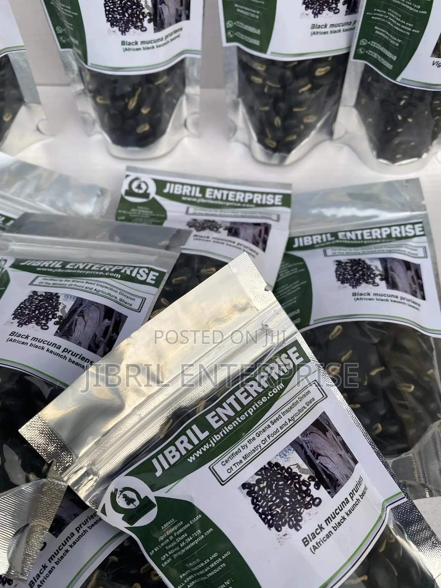Black Mucuna Pruriens (Black Velvet Beans)