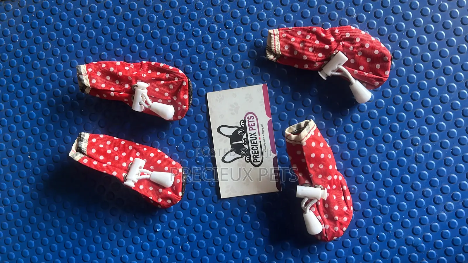 Shoes for Toy Dogs -Adolescent