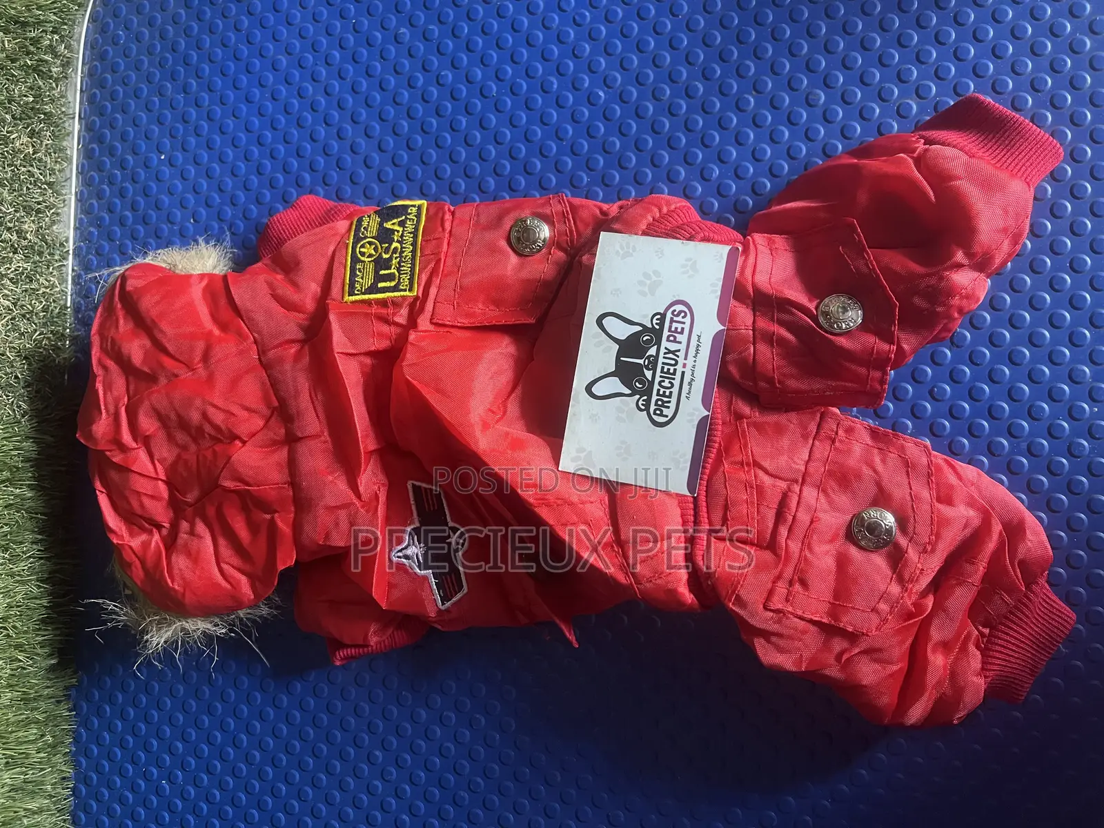 Toy Dog Clothing- New Stock -2025-0 030000