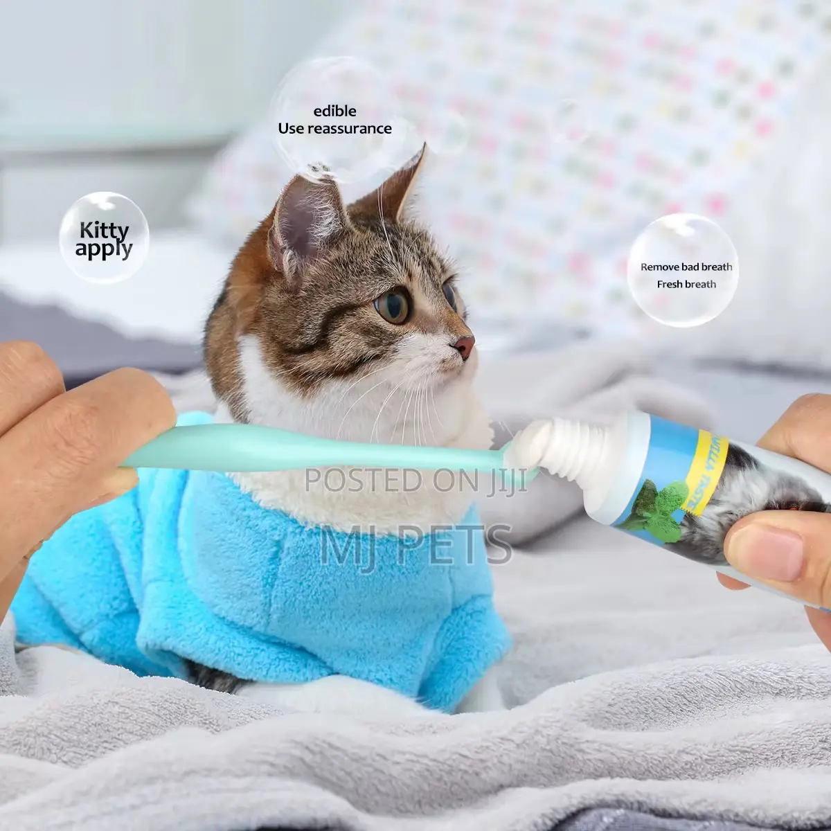 For Your Pets Toothpaste for Cats