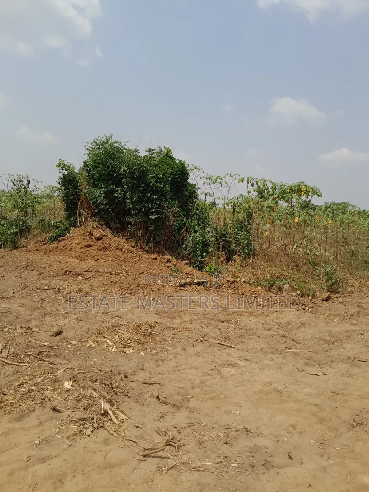 Best and Lucky Estate Lands Arranged for You. Call Now!