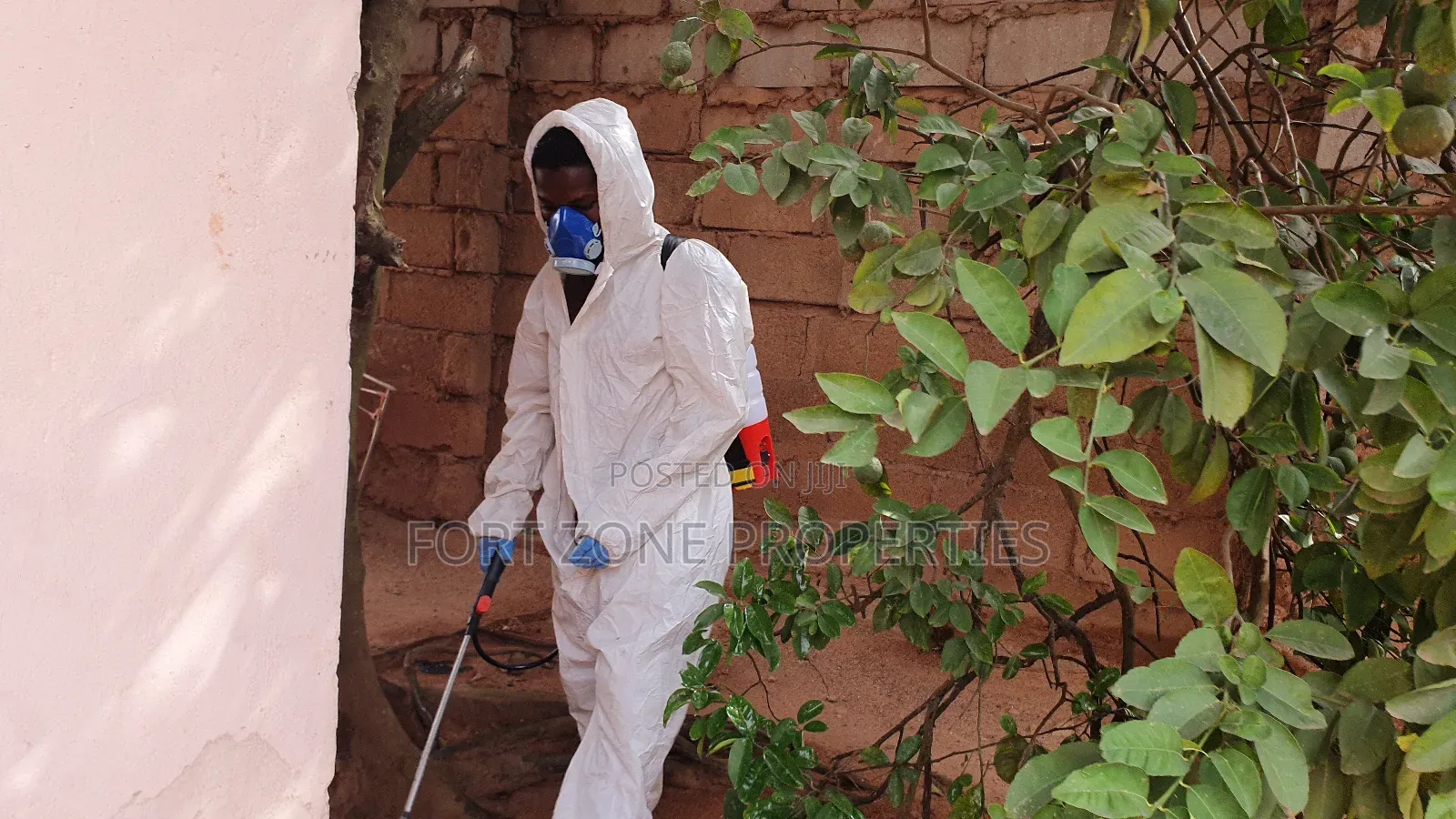 For All Insects and Reptiles Fumigation