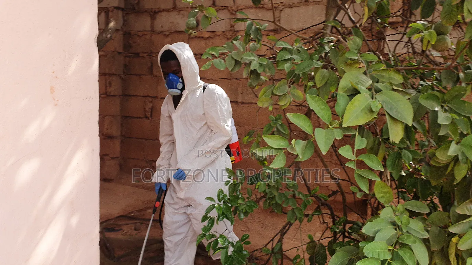 For All Insects and Reptiles Fumigation