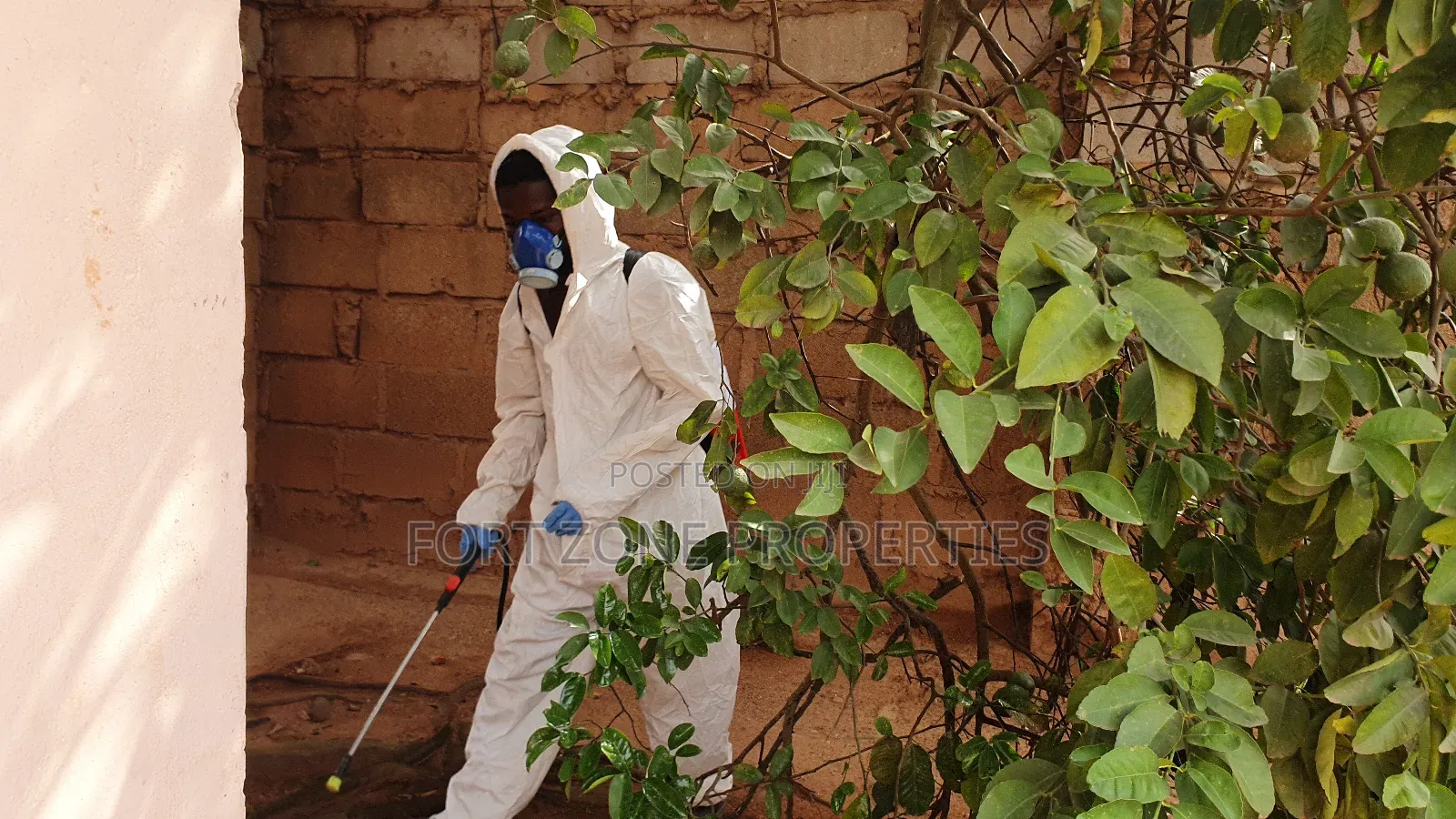 For All Insects and Reptiles Fumigation