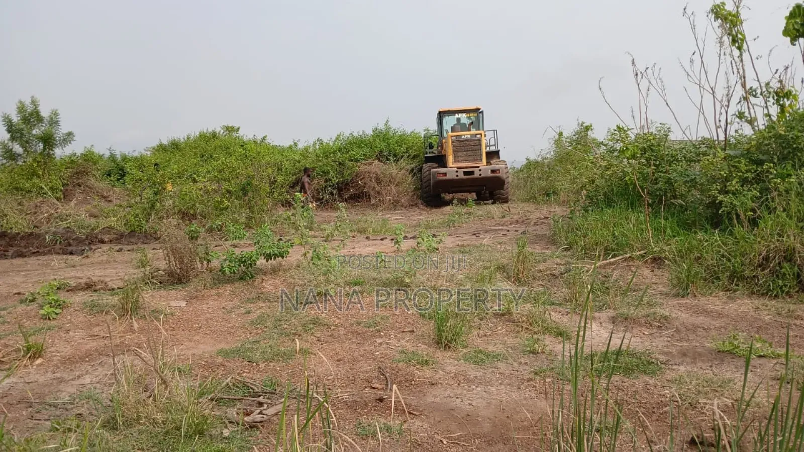 Fifty Acres of Land for Sale Located at Oyibi Bawaleshie
