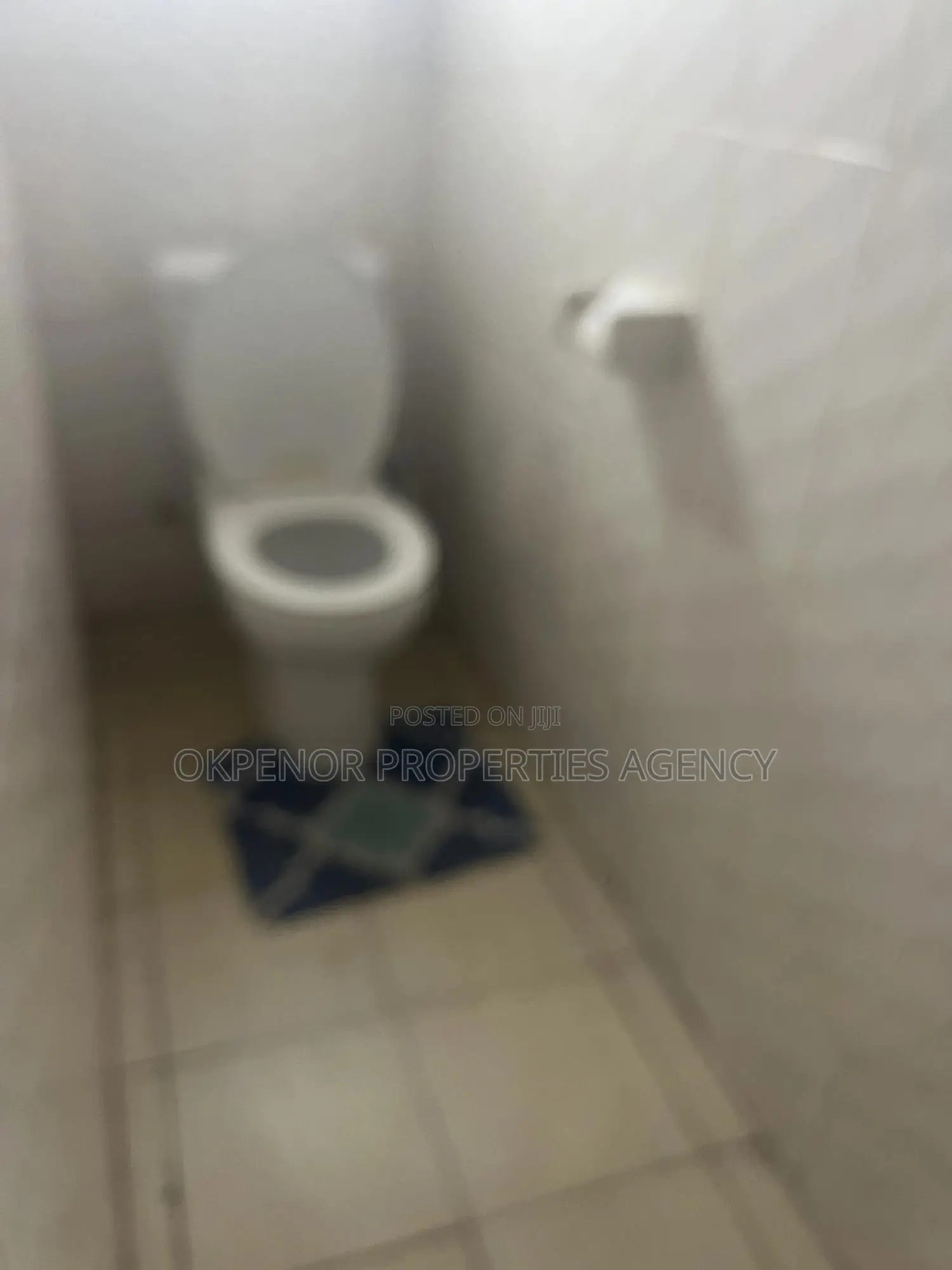 Furnished 3bdrm House in Osu, Accra Metropolitan for rent