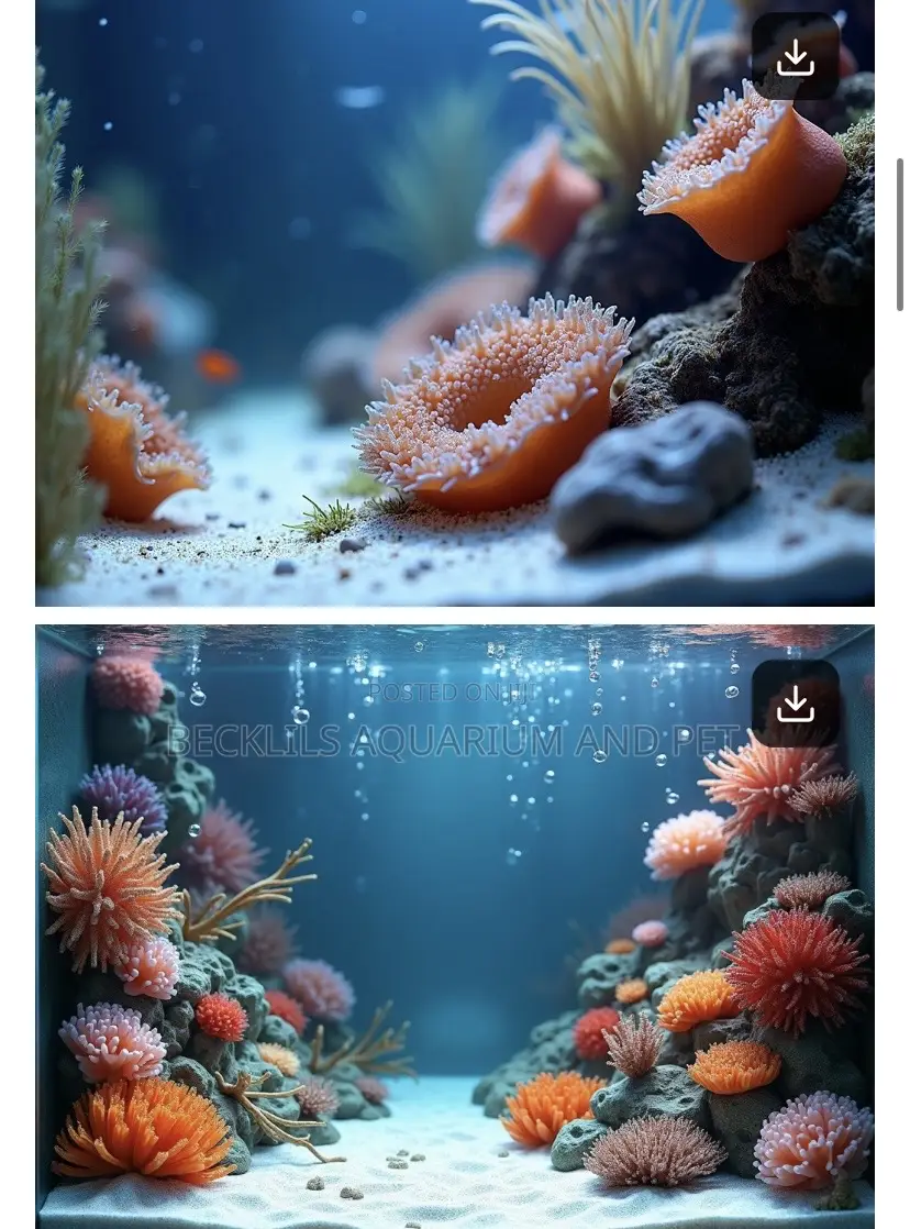 Aquarium Backgrounds