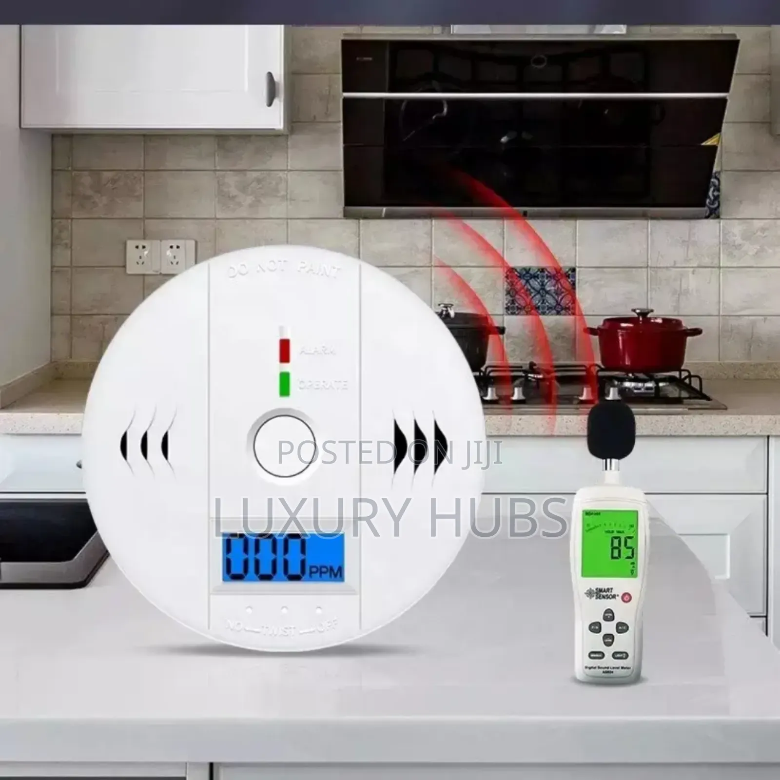 Carbon Monoxide Detector Alarm