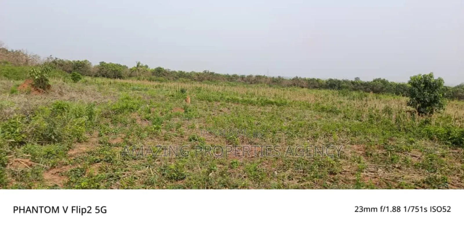 200 Acres at Omenako Suhum Road for Ghc25.000 Per Acre