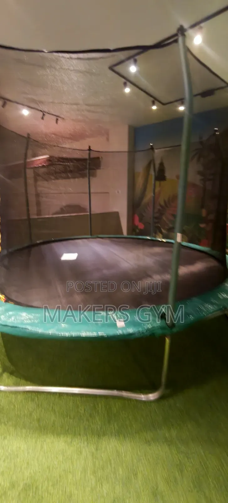 Trampoline 12feet (Multiple Colors)