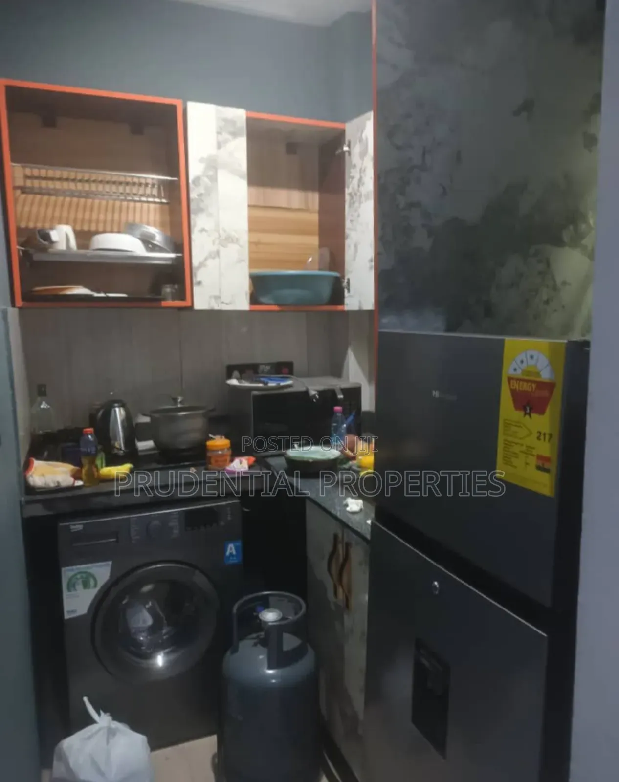 Furnished 1bdrm Apartment in Dzorwulu for rent