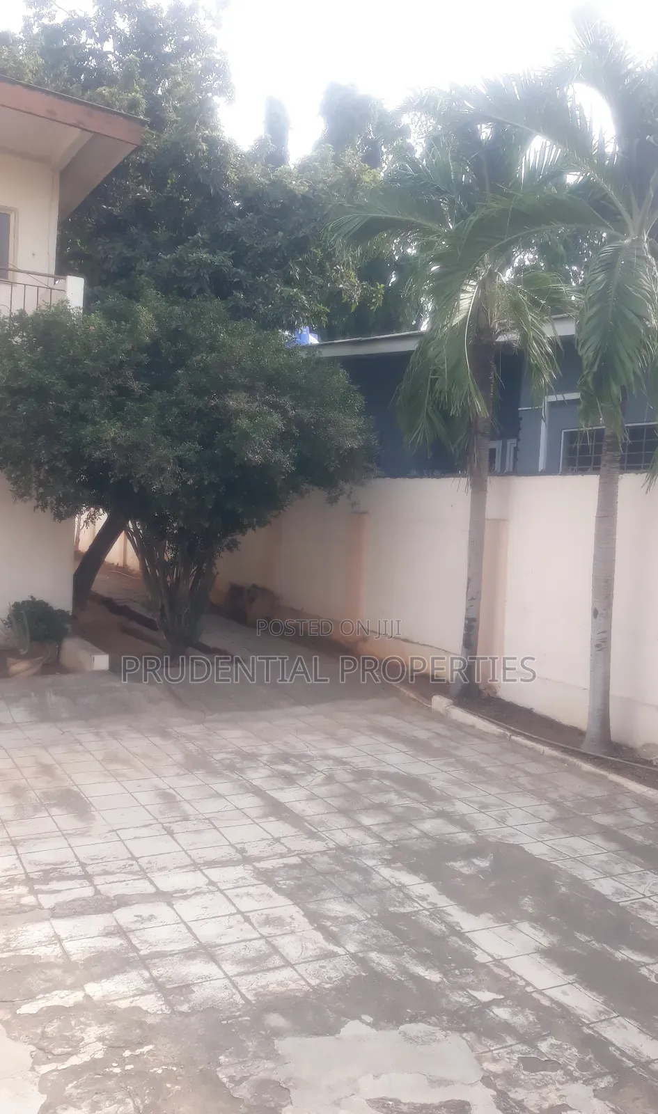 3bdrm House in Tesano for rent