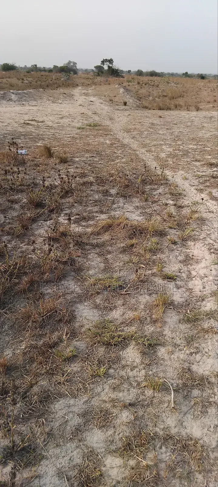 Let Tsopoli Be Your Next Home Buy a Plot of Land Now